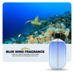 Different Relaxing Fragrances for Home, Office & Bathroom - Premium Aromatherapy Essential Oils - Image 4