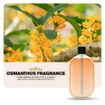 Different Relaxing Fragrances for Home, Office & Bathroom - Premium Aromatherapy Essential Oils - Image 2